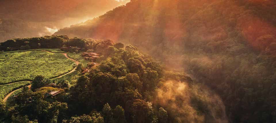 One&Only Nyungwe House Drone