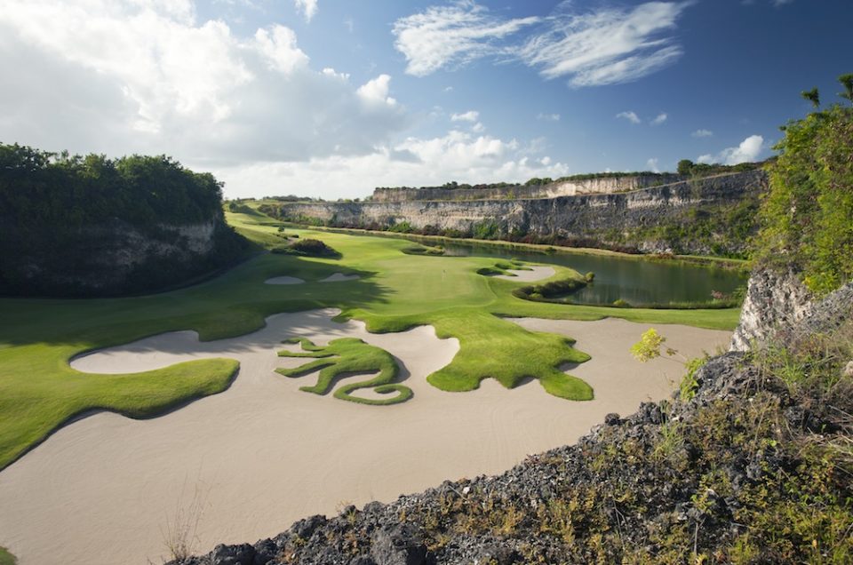 Sandy Lane Barbados Green Monkey Hole