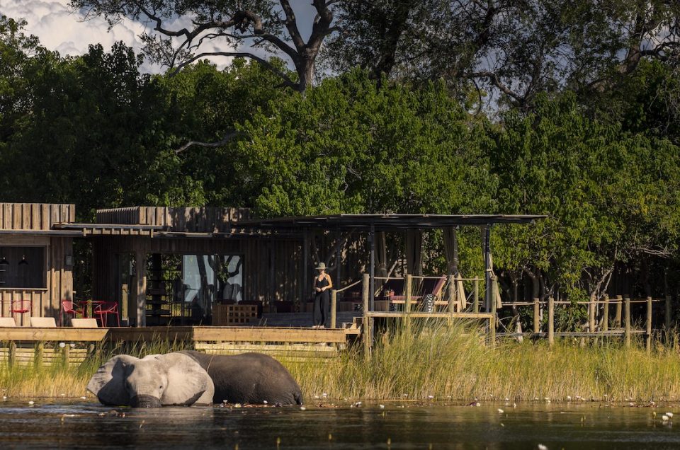 Little DumaTau Camp Elephant